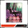 Bakemonogatari Booklet