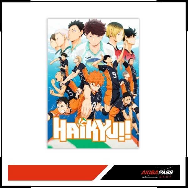 Haikyu!! - Poster Kara vs Aoba -