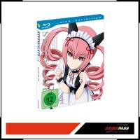 Steins;Gate - Vol. 4 (BD)