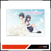 Rascal Does Not Dream of a Dreaming Girl (DVD)