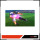 Captain Tsubasa - Rise of New Champion (PS4 + Switch)