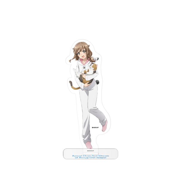 Rascal Does Not Dream of Bunny Girl Senpai -...