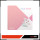 Magia Record: Puella Magi Madoka Magica Side Story - Vol. 2 (DVD)