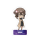 Call of the Night - Acrylaufsteller Chibi -Set