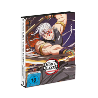 Demon Slayer -Kimetsu no Yaiba- Entertainment District...