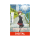 Rascal Does Not Dream of a Sister Venturing Out - OmU - (DIGITAL - Kaufversion)
