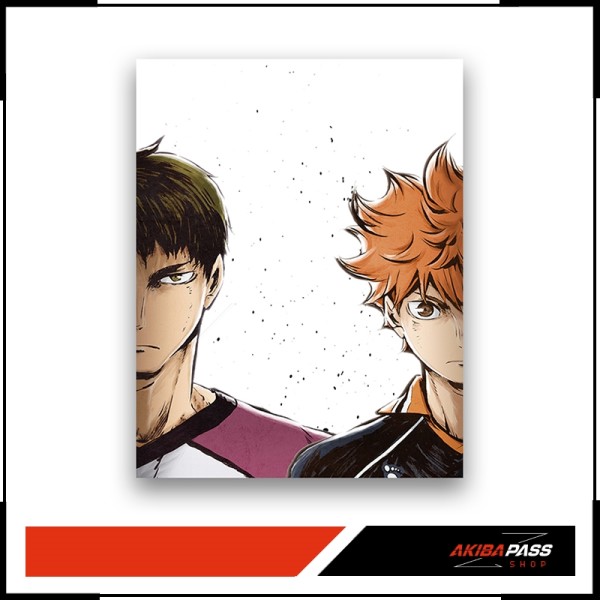 Haikyu!! - Leinwand Hinata/Ushijima